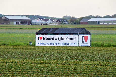 Noordwijkerhout