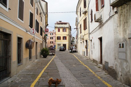 izola