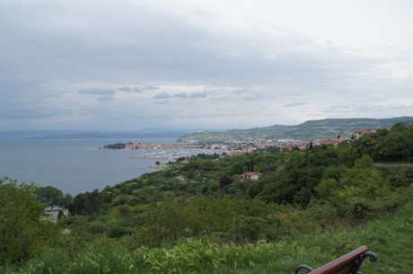 izola