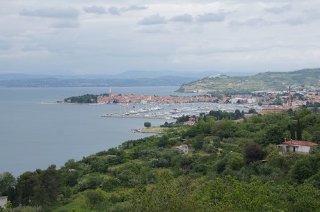 izola