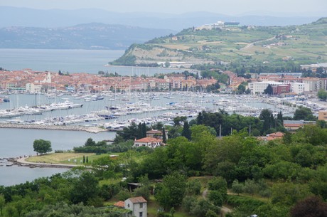 izola