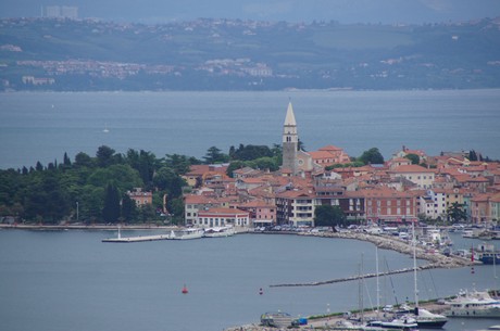 izola