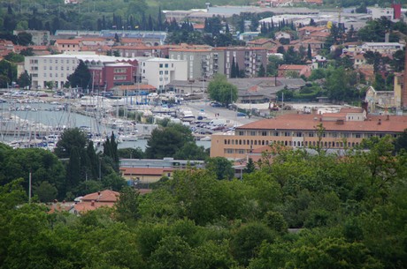 izola