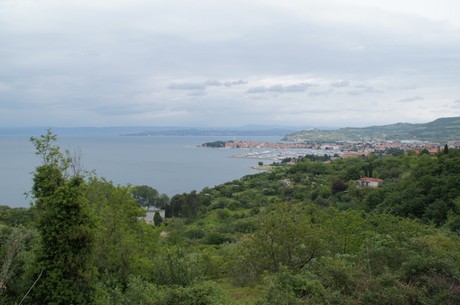 izola