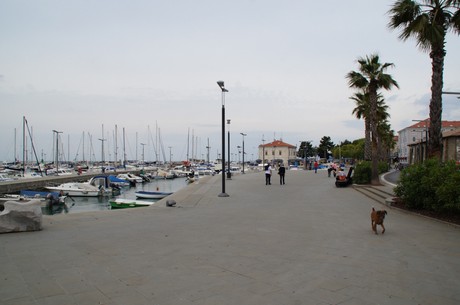 koper