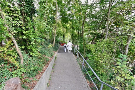 schaffhausen-wasserfall