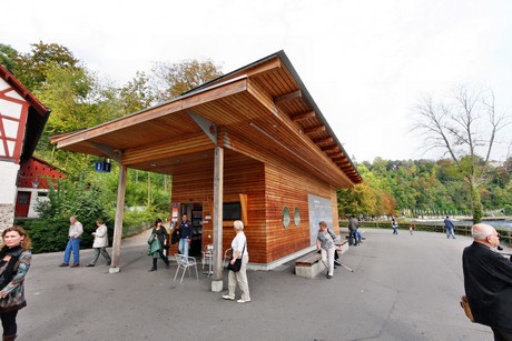 schaffhausen-wasserfall
