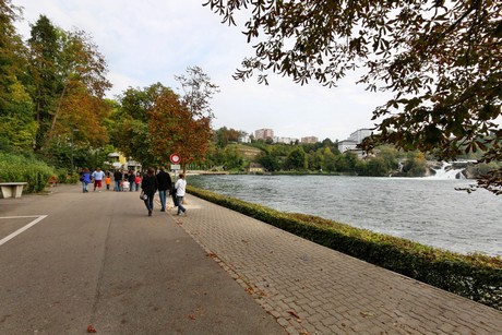 schaffhausen-wasserfall