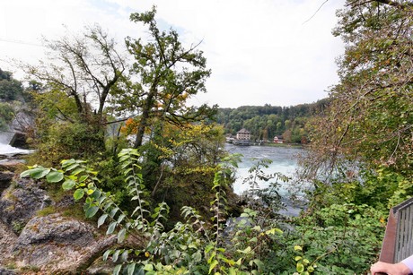 schaffhausen-wasserfall