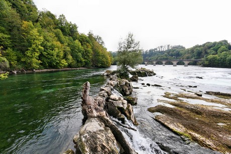 schaffhausen-wasserfall