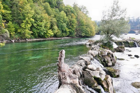 schaffhausen-wasserfall