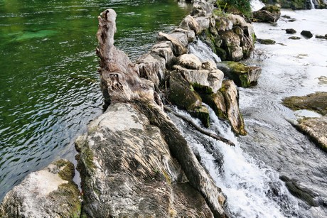 schaffhausen-wasserfall