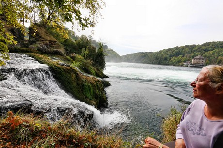 schaffhausen-wasserfall