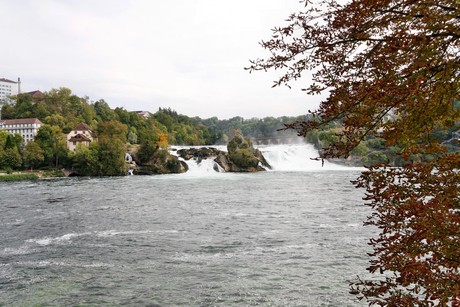 schaffhausen-wasserfall