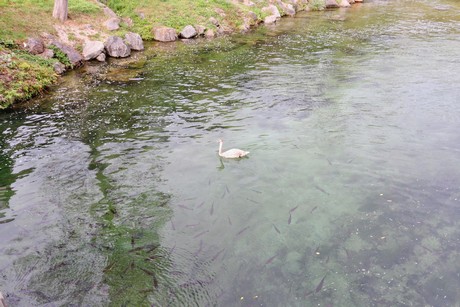 schaffhausen-wasserfall