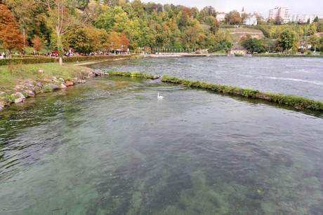 schaffhausen-wasserfall
